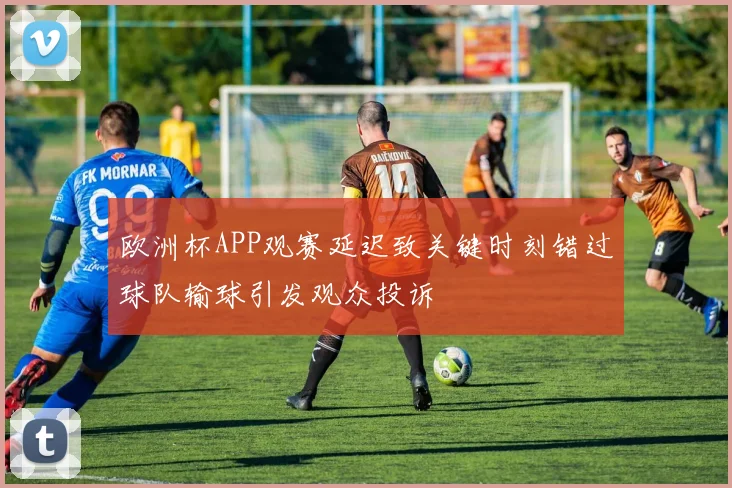 欧洲杯APP观赛延迟致关键时刻错过球队输球引发观众投诉