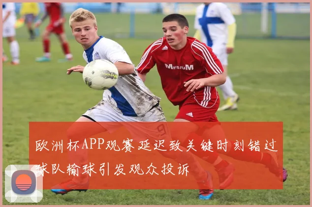 欧洲杯APP观赛延迟致关键时刻错过球队输球引发观众投诉