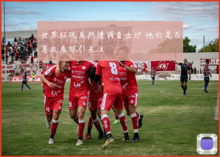 世界杯观看热情调查出炉 他们是否喜欢看球引关注