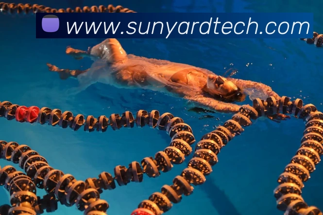 f8体育官网登录入口APP 封面图